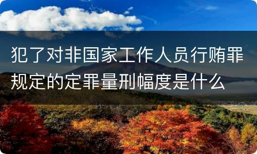犯了对非国家工作人员行贿罪规定的定罪量刑幅度是什么