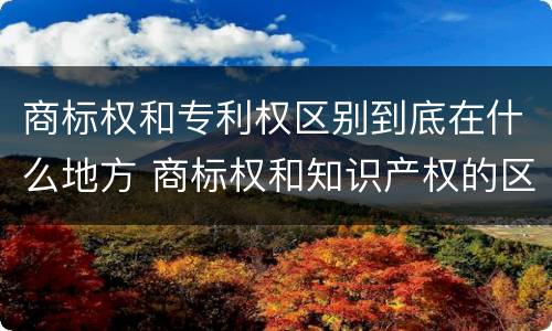 商标权和专利权区别到底在什么地方 商标权和知识产权的区别