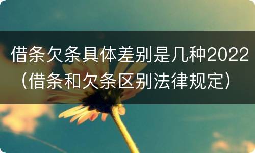 借条欠条具体差别是几种2022（借条和欠条区别法律规定）