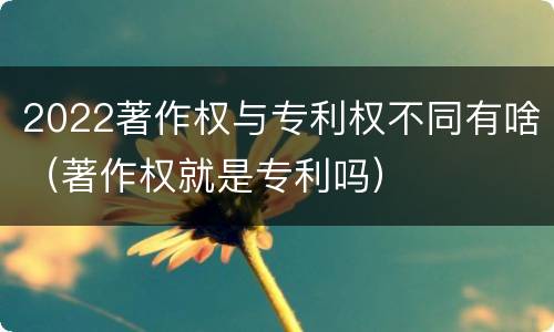 2022著作权与专利权不同有啥（著作权就是专利吗）