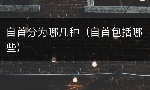 自首分为哪几种（自首包括哪些）