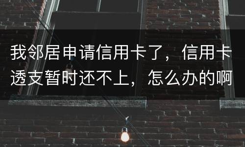 我邻居申请信用卡了，信用卡透支暂时还不上，怎么办的啊