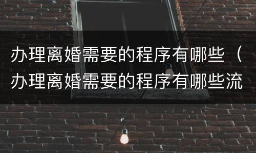 办理离婚需要的程序有哪些（办理离婚需要的程序有哪些流程）