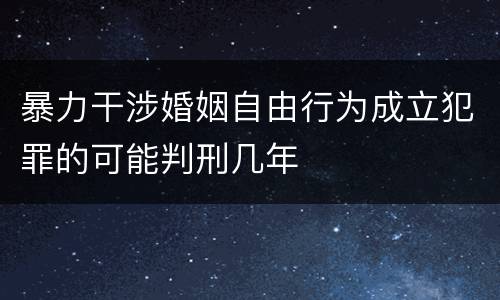 暴力干涉婚姻自由行为成立犯罪的可能判刑几年