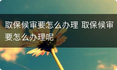 取保候审要怎么办理 取保候审要怎么办理呢