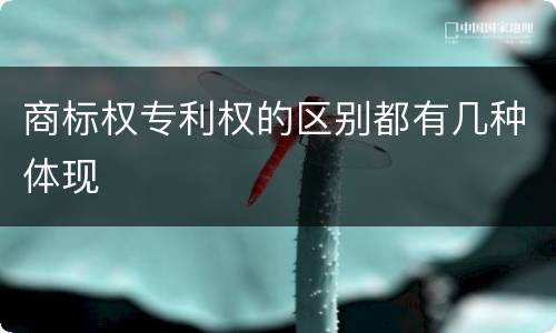 商标权专利权的区别都有几种体现