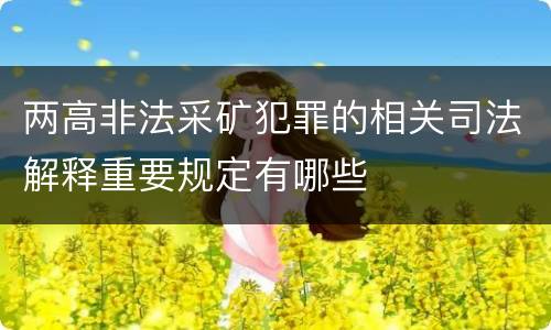 两高非法采矿犯罪的相关司法解释重要规定有哪些