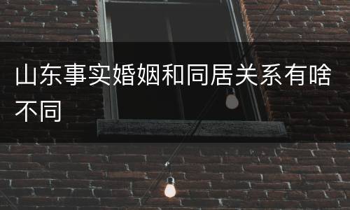 山东事实婚姻和同居关系有啥不同