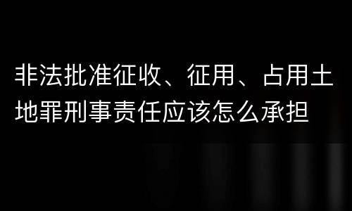 非法批准征收、征用、占用土地罪刑事责任应该怎么承担