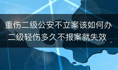 重伤二级公安不立案该如何办 二级轻伤多久不报案就失效