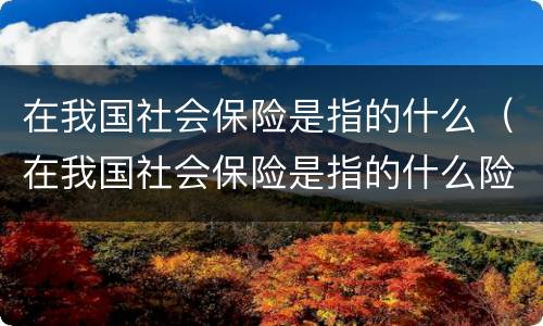在我国社会保险是指的什么（在我国社会保险是指的什么险种）
