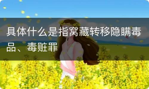 具体什么是指窝藏转移隐瞒毒品、毒赃罪