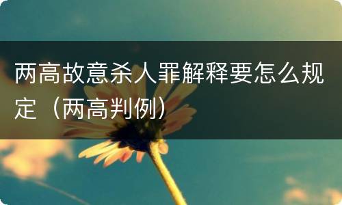 两高故意杀人罪解释要怎么规定（两高判例）