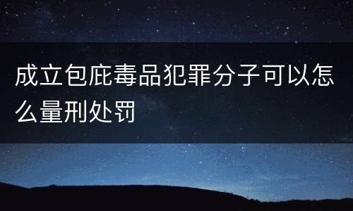 成立包庇毒品犯罪分子可以怎么量刑处罚