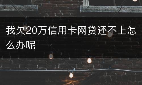 我欠20万信用卡网贷还不上怎么办呢