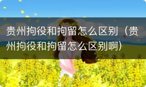 贵州拘役和拘留怎么区别（贵州拘役和拘留怎么区别啊）