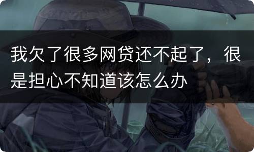 我欠了很多网贷还不起了，很是担心不知道该怎么办