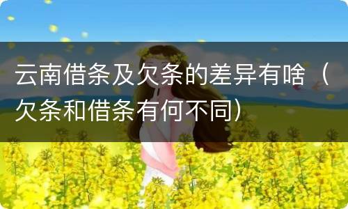 云南借条及欠条的差异有啥（欠条和借条有何不同）