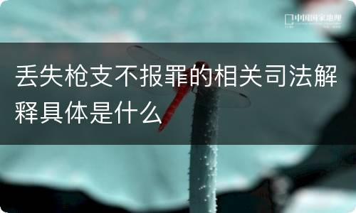 丢失枪支不报罪的相关司法解释具体是什么