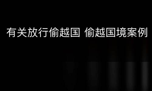 有关放行偷越国 偷越国境案例
