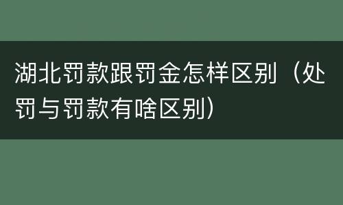湖北罚款跟罚金怎样区别（处罚与罚款有啥区别）