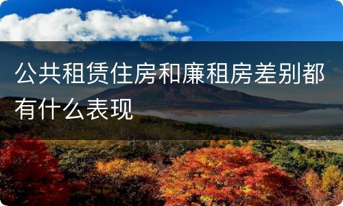 公共租赁住房和廉租房差别都有什么表现