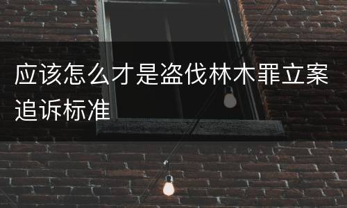应该怎么才是盗伐林木罪立案追诉标准