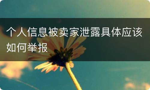 个人信息被卖家泄露具体应该如何举报