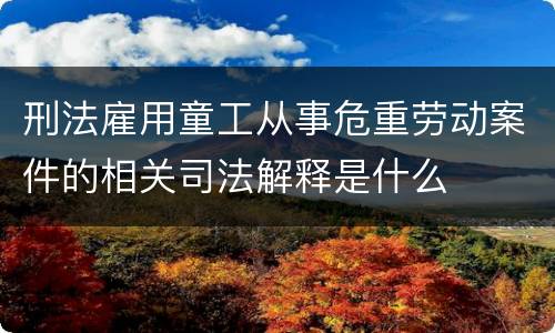 刑法雇用童工从事危重劳动案件的相关司法解释是什么