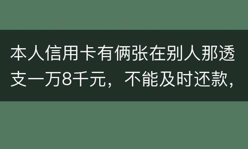 本人信用卡有俩张在别人那透支一万8千元，不能及时还款，能起诉吗