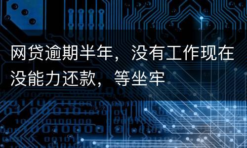 网贷逾期半年，没有工作现在没能力还款，等坐牢