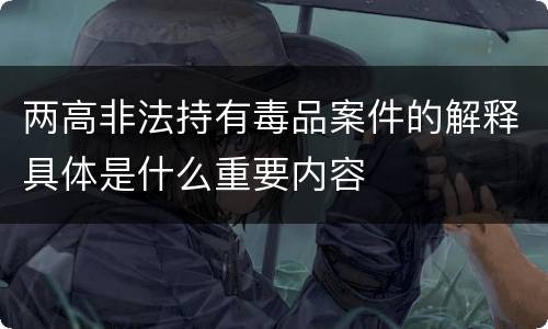 两高非法持有毒品案件的解释具体是什么重要内容