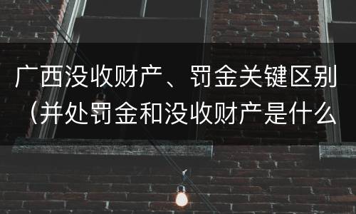 广西没收财产、罚金关键区别（并处罚金和没收财产是什么意思）