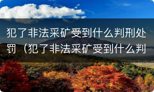 犯了非法采矿受到什么判刑处罚（犯了非法采矿受到什么判刑处罚呢）