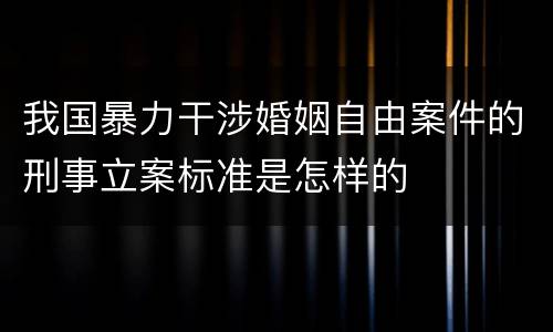 我国暴力干涉婚姻自由案件的刑事立案标准是怎样的
