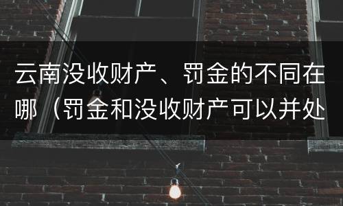 云南没收财产、罚金的不同在哪（罚金和没收财产可以并处吗）