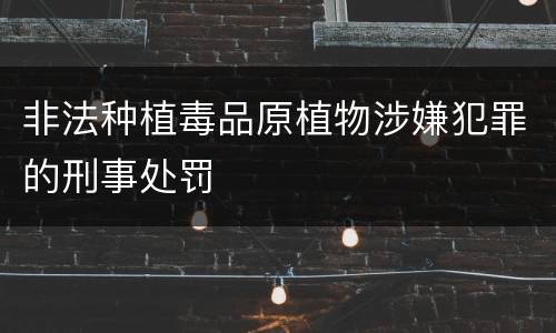 非法种植毒品原植物涉嫌犯罪的刑事处罚