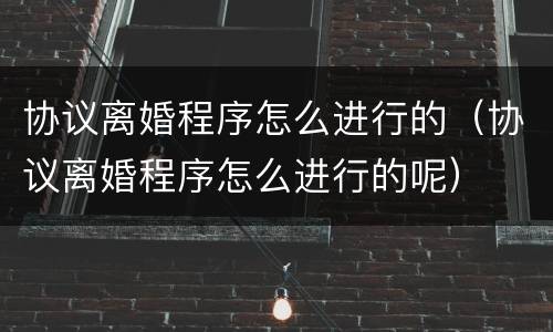 协议离婚程序怎么进行的（协议离婚程序怎么进行的呢）