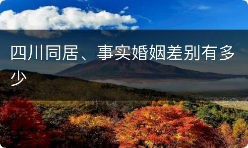 四川同居、事实婚姻差别有多少