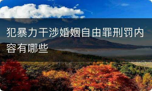 犯暴力干涉婚姻自由罪刑罚内容有哪些