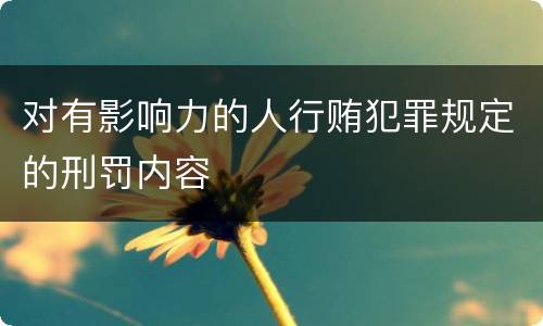 对有影响力的人行贿犯罪规定的刑罚内容