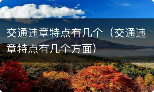 交通违章特点有几个（交通违章特点有几个方面）