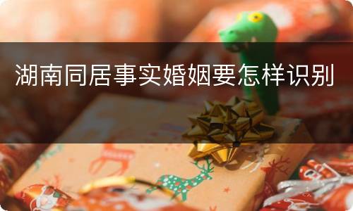 湖南同居事实婚姻要怎样识别