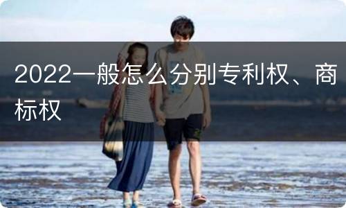 2022一般怎么分别专利权、商标权