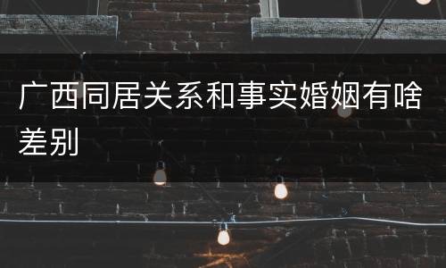 广西同居关系和事实婚姻有啥差别