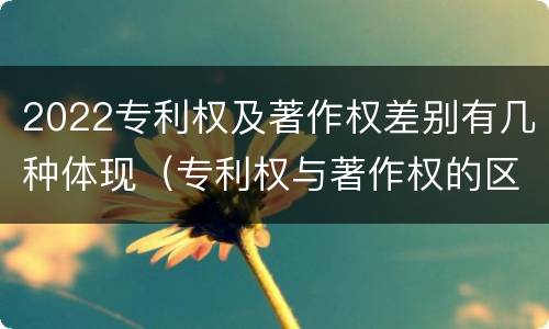 2022专利权及著作权差别有几种体现（专利权与著作权的区别与联系）