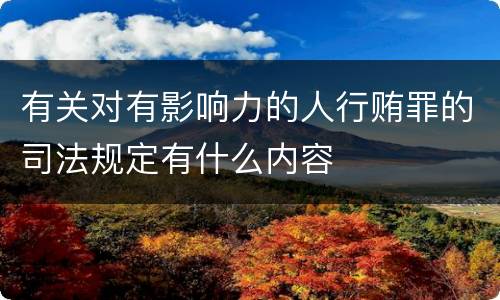 有关对有影响力的人行贿罪的司法规定有什么内容