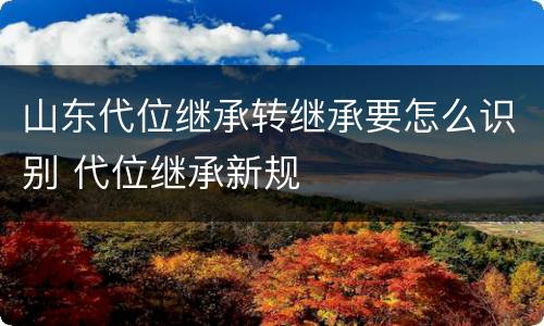 山东代位继承转继承要怎么识别 代位继承新规