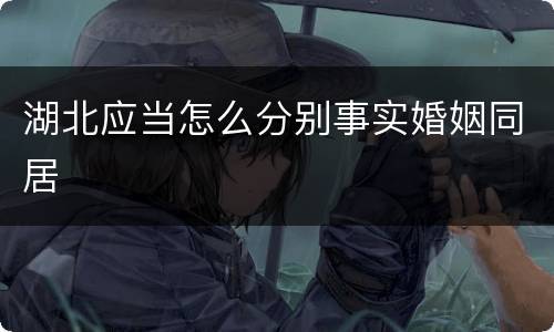 湖北应当怎么分别事实婚姻同居