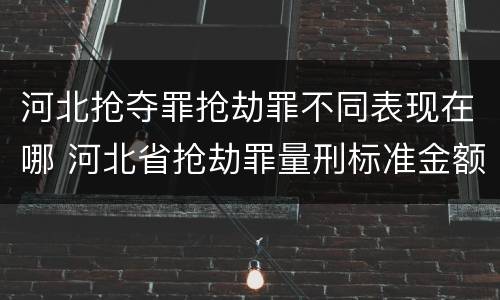 河北抢夺罪抢劫罪不同表现在哪 河北省抢劫罪量刑标准金额